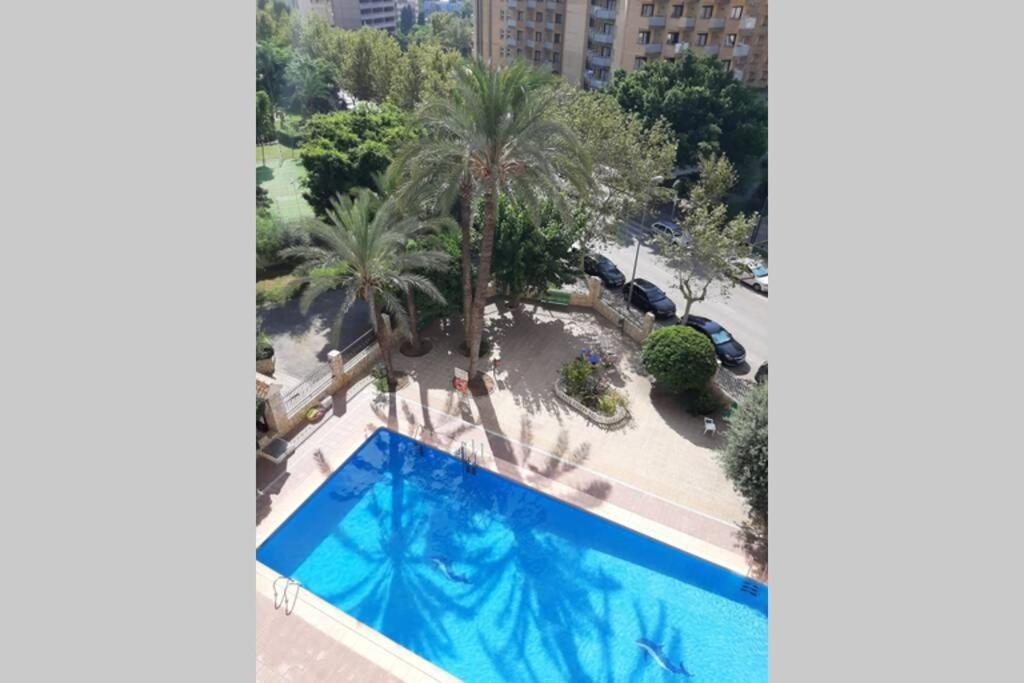 Moby Dick 3A Apartment Benidorm Luaran gambar